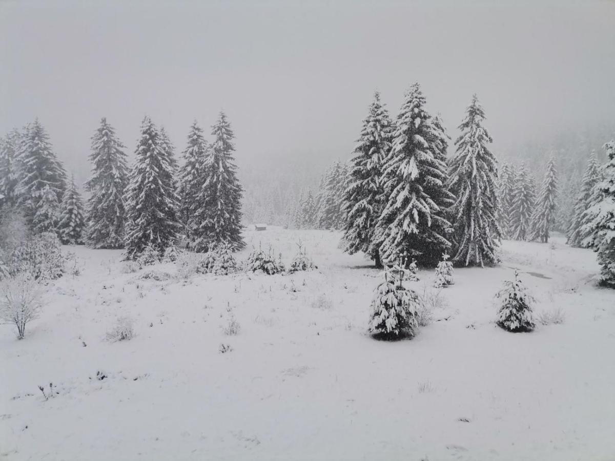 Forest Home 524 Smolyan Exteriör bild
