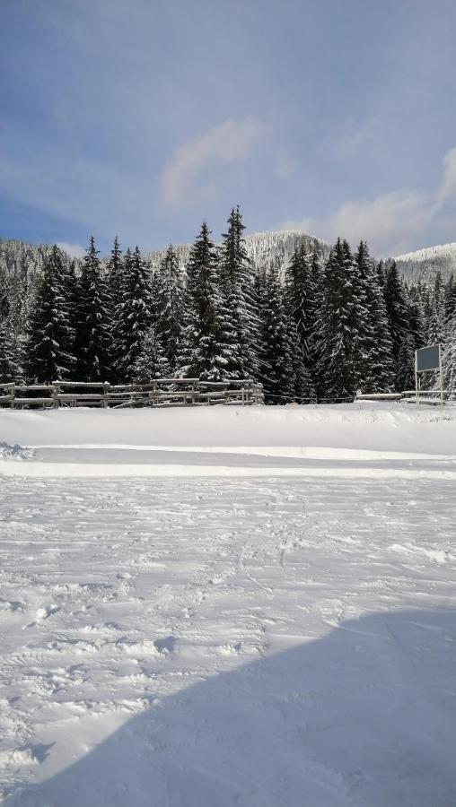 Forest Home 524 Smolyan Exteriör bild